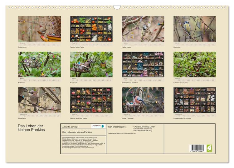 Produktbild: Das Leben der kleinen Pankies (Wandkalender 2026 DIN A2 quer), CALVENDO Monatskalender