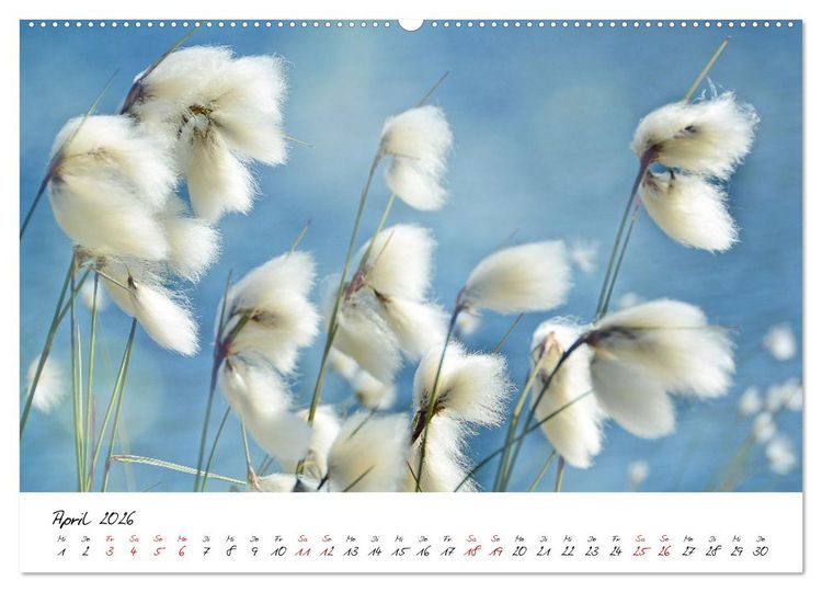 Produktbild: Sch&ouml;nheiten in freier Natur (hochwertiger Premium Wandkalender 2026 DIN A2 quer), Kunstdruck in Hochglanz