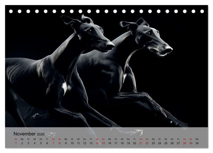 Produktbild: Black is beautiful (Tischkalender 2026 DIN A5 quer), CALVENDO Monatskalender