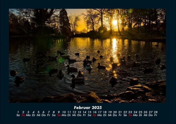 Produktbild: Bilder aus der Natur 2025 Fotokalender DIN A4