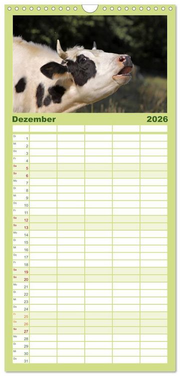 Produktbild: Familienplaner 2026 - Muuuhhh! mit 5 Spalten (Wandkalender, 21 x 45 cm) CALVENDO