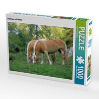 Produktbild: CALVENDO Puzzle Haflinger auf Weide | 1000 Teile Lege-Gr&ouml;&szlig;e 64x48cm Foto-Puzzle f&uuml;r gl&uuml;ckliche Stunden