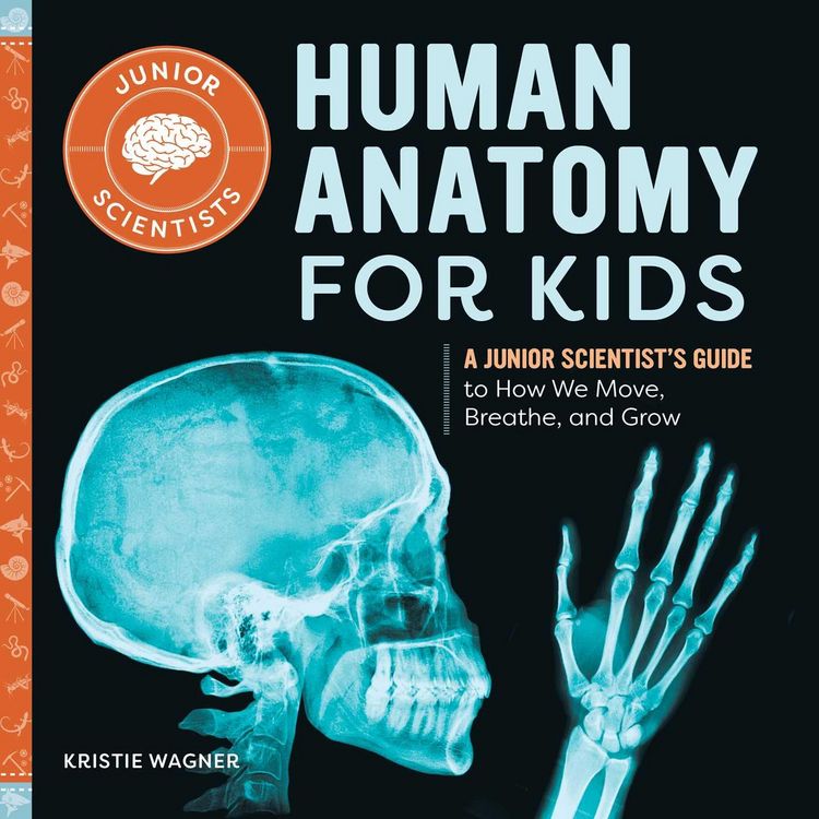Produktbild: Human Anatomy for Kids