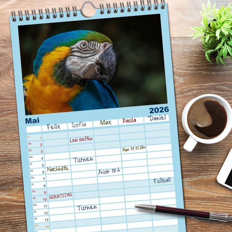 Produktbild: Familienplaner 2026 - Papageien - Frech, sch&ouml;n und schlau mit 5 Spalten (Wandkalender, 21 x 45 cm) CALVENDO