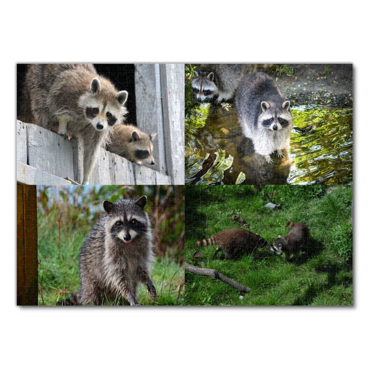 Produktbild: Lais Puzzle Collage Waschb&auml;r 1000 Teile