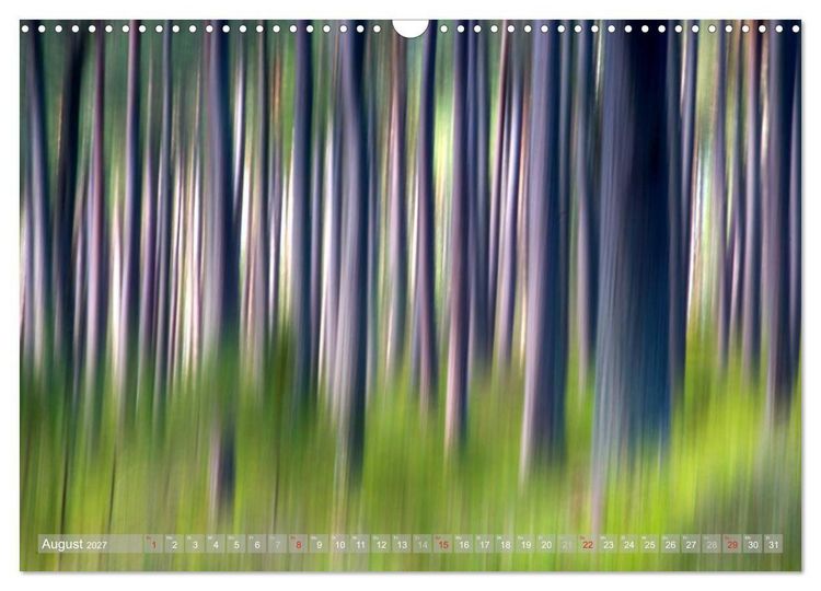 Produktbild: Atelier Wald - gemalt mit Licht (Wandkalender 2027 DIN A3 quer), CALVENDO Monatskalender