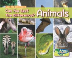 Produktbild: Can You Spot the Difference Animals