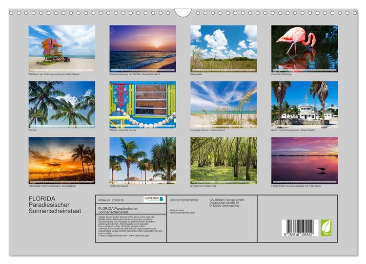 Produktbild: FLORIDA Paradiesischer Sonnenscheinstaat (Wandkalender 2026 DIN A3 quer), CALVENDO Monatskalender