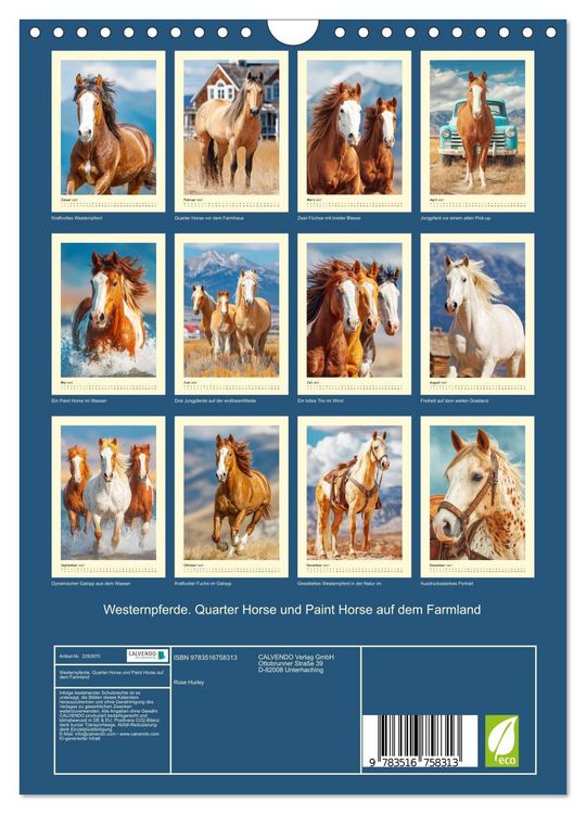Produktbild: Westernpferde. Quarter Horse und Paint Horse auf dem Farmland (Wandkalender 2027 DIN A4 hoch), CALVENDO Monatskalender
