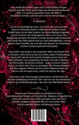 Produktbild: Shadows of Rosefall City