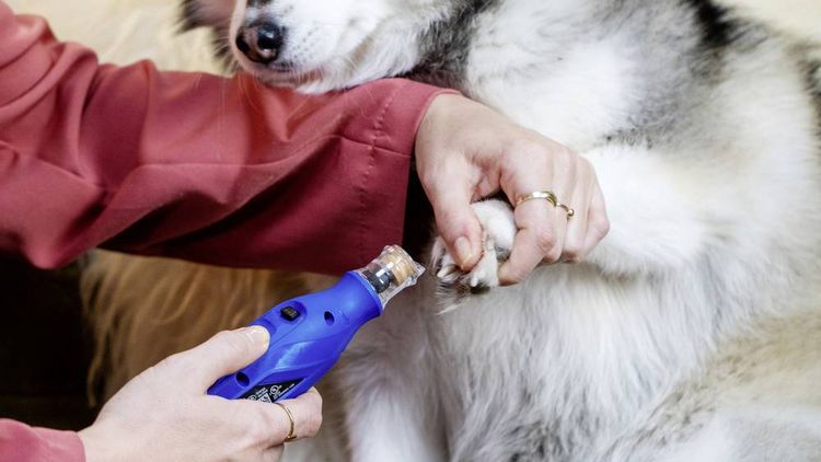 Hartschalen-Koffer Für Dremel 7350-PET – EVA-Schutztasche Für Hundepflege-Nagelschleifer