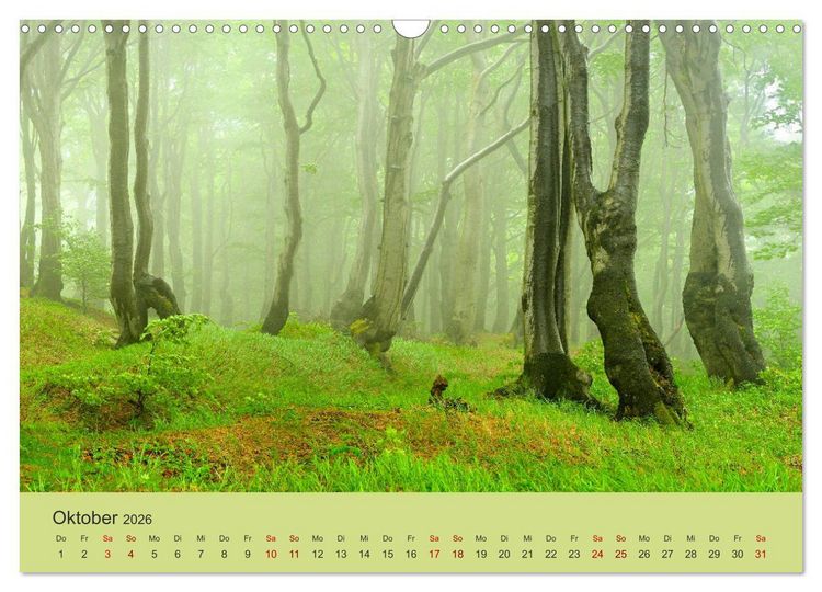 Produktbild: Das Erzgebirge Welterbe und Natur (Wandkalender 2026 DIN A3 quer), CALVENDO Monatskalender