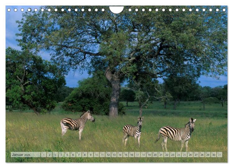 Produktbild: S&uuml;dafrika Christian Heeb (Wandkalender 2026 DIN A4 quer), CALVENDO Monatskalender