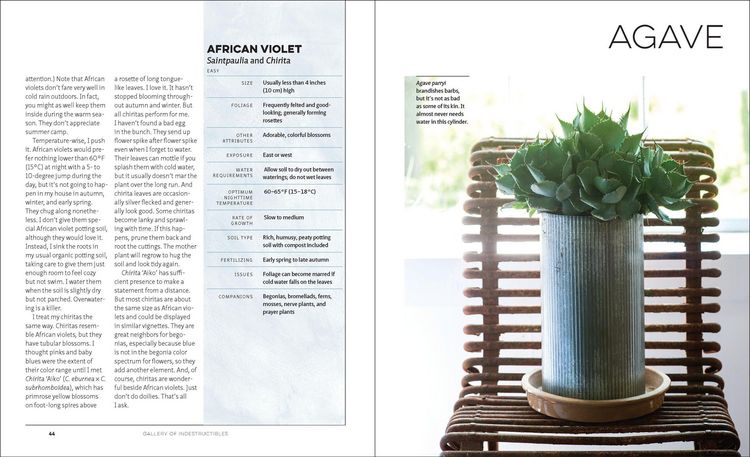 Produktbild: The Unexpected Houseplant