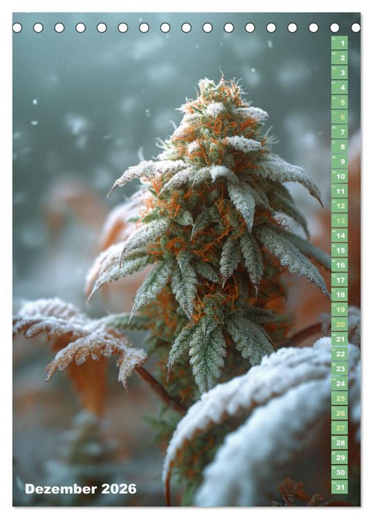 Produktbild: Rauschende Aussichten - Der ultimative Cannabis-Kalender (Tischkalender 2026 DIN A5 hoch), CALVENDO Monatskalender