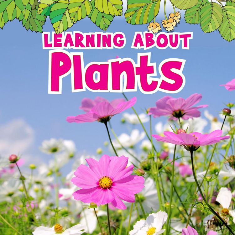 Produktbild: Learning About Plants
