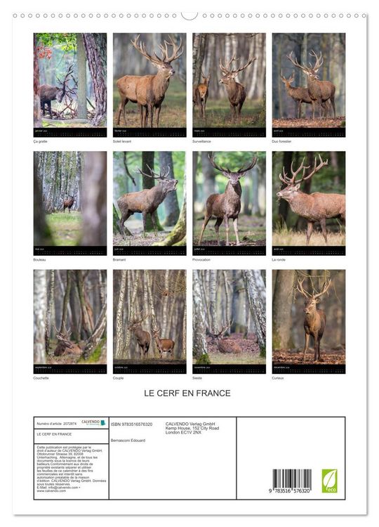 Produktbild: LE CERF EN FRANCE (Calendrier mural 2026 DIN A2 horizontal) calendrier de bureau
