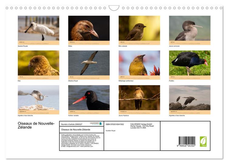 Produktbild: Oiseaux de Nouvelle-Z&eacute;lande (Calendrier mural 2026 DIN A3 vertical), CALVENDO calendrier mensuel