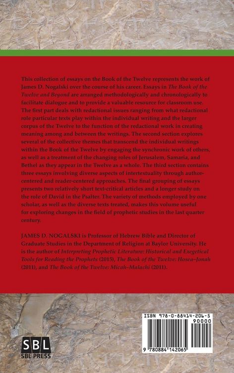 Produktbild: The Book of the Twelve and Beyond