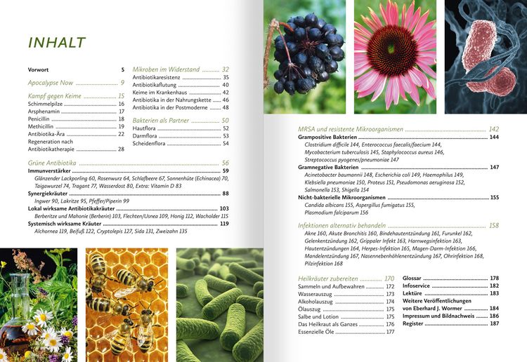 Produktbild: Gr&uuml;ne Antibiotika. Heilkr&auml;ftige Medizin aus dem Pflanzenreich