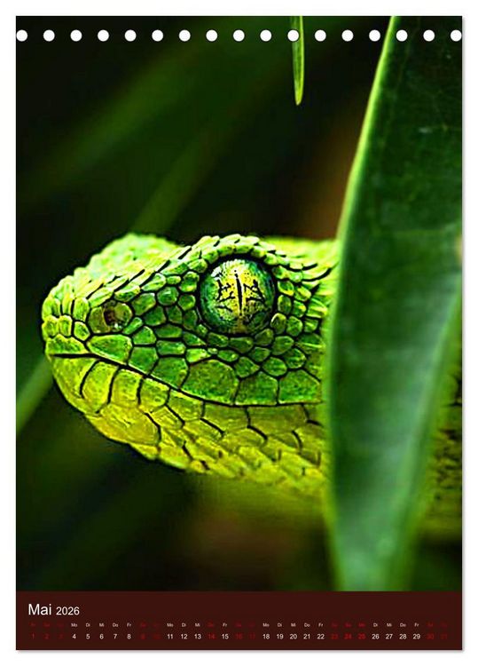 Produktbild: The Power Of Snake (Tischkalender 2026 DIN A5 hoch), CALVENDO Monatskalender