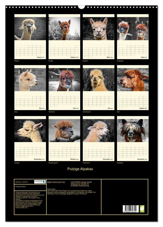 Produktbild: Putzige Alpakas (Wandkalender 2026 DIN A2 hoch), CALVENDO Monatskalender
