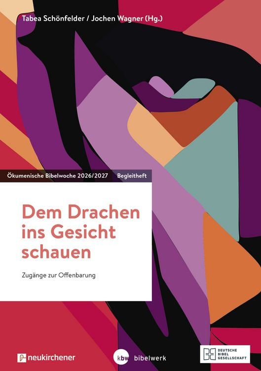 Produktbild: Dem Drachen ins Gesicht schauen