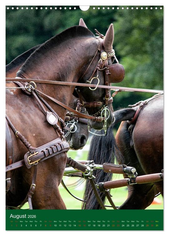 Produktbild: Carriage Driving - Horses in Action (Wall Calendar 2026 DIN A3 portrait), CALVENDO 12 Month Wall Calendar