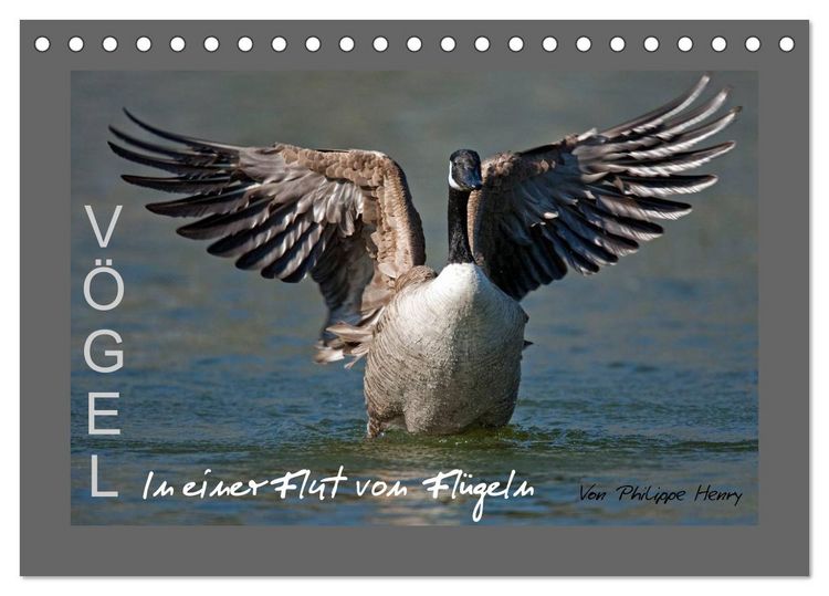 Produktbild: V&Ouml;GEL (Tischkalender 2026 DIN A5 quer), CALVENDO Monatskalender