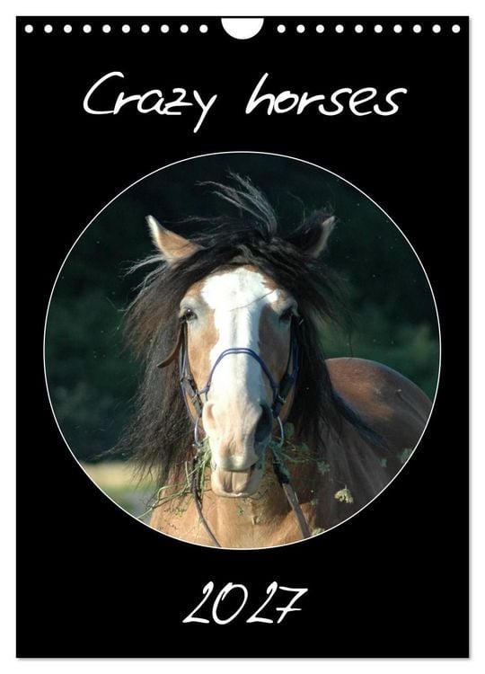 Produktbild: Crazy horses (Wandkalender 2027 DIN A4 hoch), CALVENDO Monatskalender