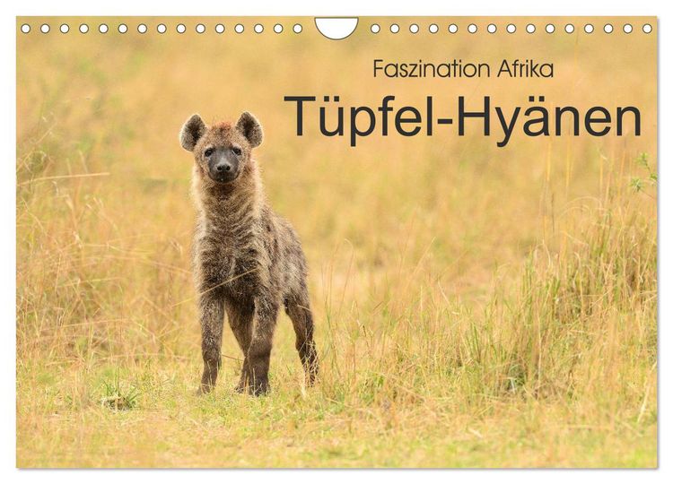 Produktbild: Faszination Afrika: T&uuml;pfel-Hy&auml;nen (Wandkalender 2026 DIN A4 quer), CALVENDO Monatskalender