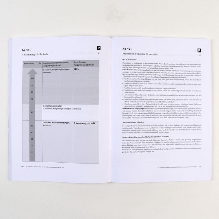 Produktbild: Therapie-Tools Emotionsregulation