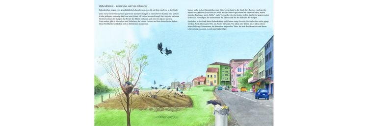 Produktbild: Schlau, schwarz und kunterbunt