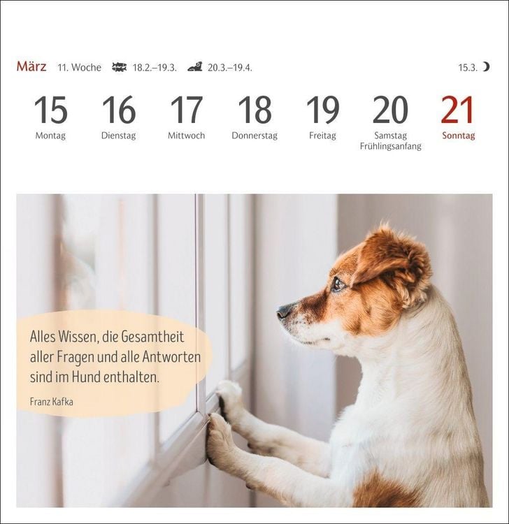 Produktbild: Hunde Premium-Postkartenkalender 2027 - Freunde auf vier Pfoten; Kalender mit 53 Postkarten