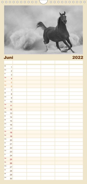 Produktbild: Familienplaner Arabische Pferde (Wandkalender 2022 , 21 cm x 45 cm, hoch)
