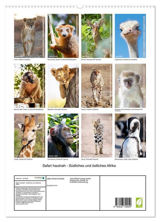 Produktbild: Safari hautnah - S&uuml;dliches und &ouml;stliches Afrika (hochwertiger Premium Wandkalender 2026 DIN A2 hoch), Kunstdruck in Hochglanz