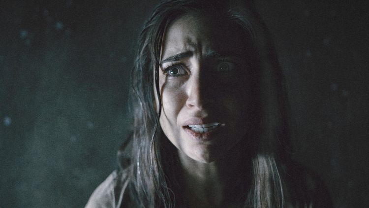 Produktbild: The Evil Next Door