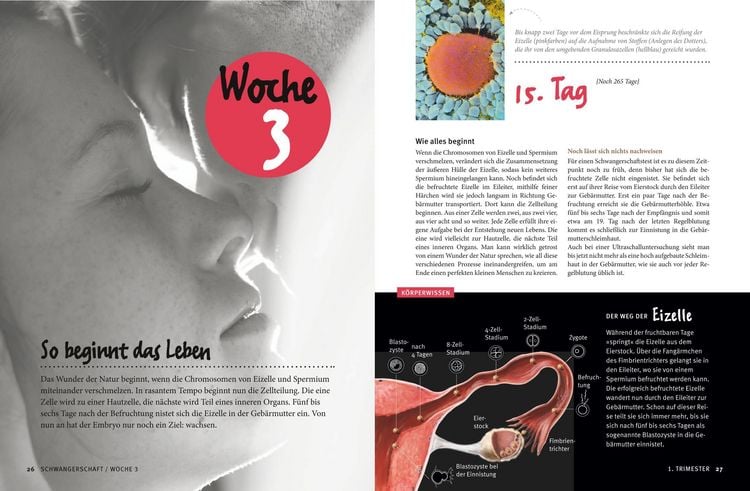 Produktbild: Meine Schwangerschaft
