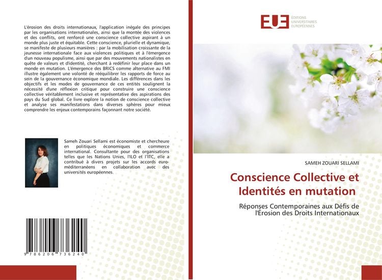 Produktbild: Conscience Collective et Identit&eacute;s en mutation