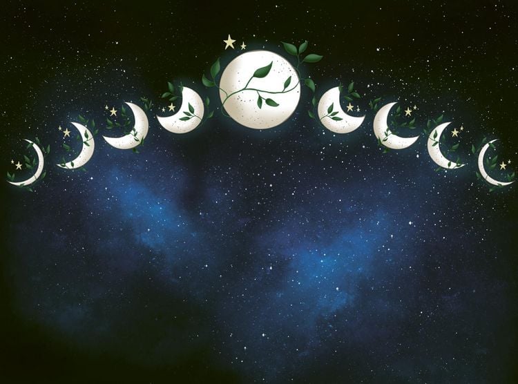 Produktbild: Moonlight Sword 1: Klingenherz