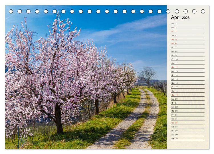 Produktbild: Auf Schusters Rappen... S&uuml;dlicher Oberrhein und S&uuml;dschwarzwald (Tischkalender 2026 DIN A5 quer), CALVENDO Monatskalender
