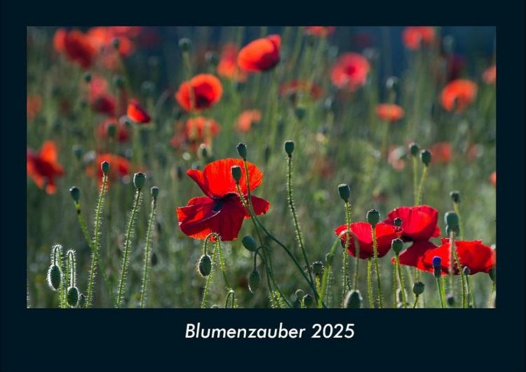 Produktbild: Blumenzauber 2025 Fotokalender DIN A4