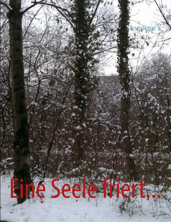 Produktbild: Eine Seele friert...