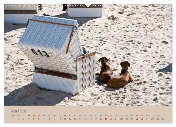 Produktbild: Sylt-Momente (hochwertiger Premium Wandkalender 2026 DIN A2 quer), Kunstdruck in Hochglanz