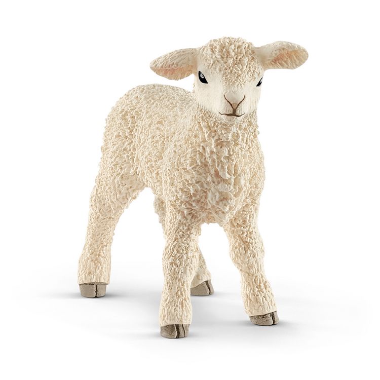 Produktbild: schleich&reg; 13883 Lamm