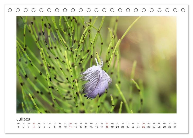 Produktbild: Naturkunstwerke (Tischkalender 2027 DIN A5 quer), CALVENDO Monatskalender