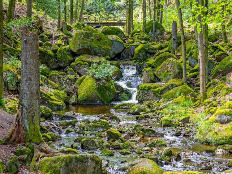 Produktbild: CALVENDO Puzzle Im Ilsetal nahe der unteren Ilsef&auml;lle | 1000 Teile Lege-Gr&ouml;&szlig;e 64x48cm Foto-Puzzle f&uuml;r gl&uuml;ckliche Stunden
