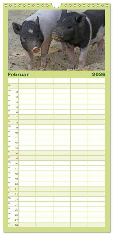 Produktbild: Familienplaner 2026 - Schwein gehabt! mit 5 Spalten (Wandkalender, 21 x 45 cm) CALVENDO