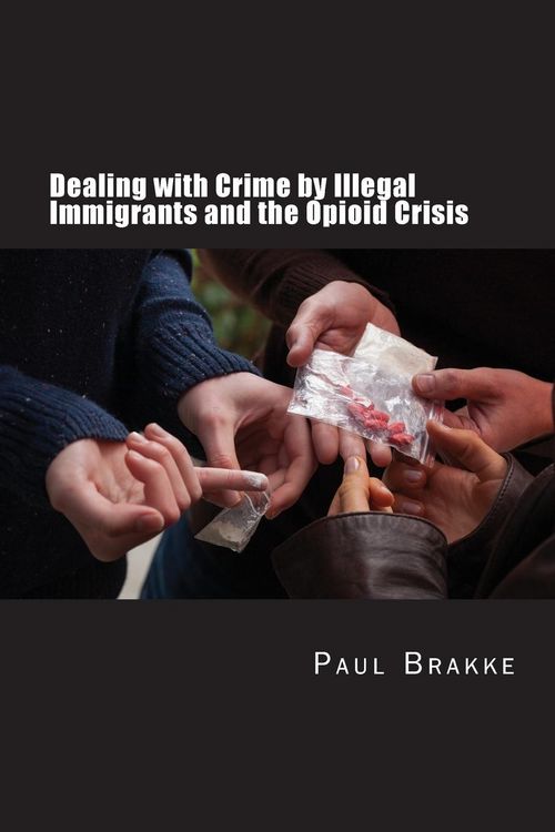Produktbild: Dealing with Crime by Illegal Immigrants and the Opioid Crisis