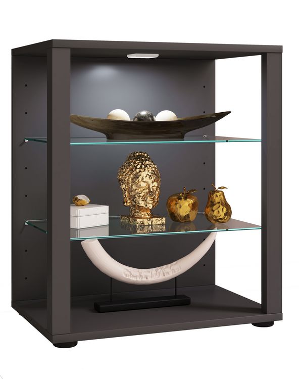 Produktbild: Holz Glas Stand Vitrine Sammelvitrine Glasol L